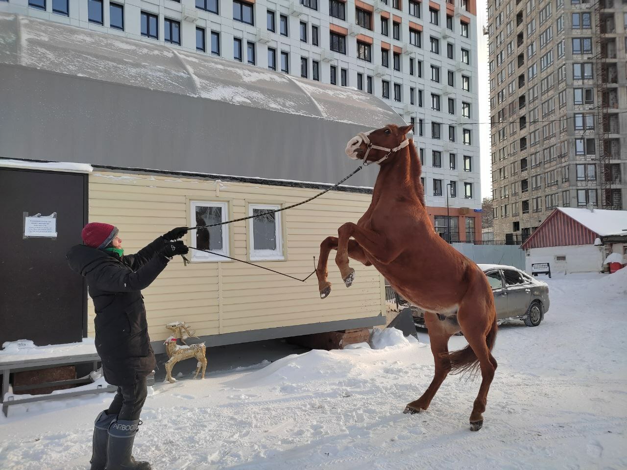 “Кешенең якын дусты ул!”