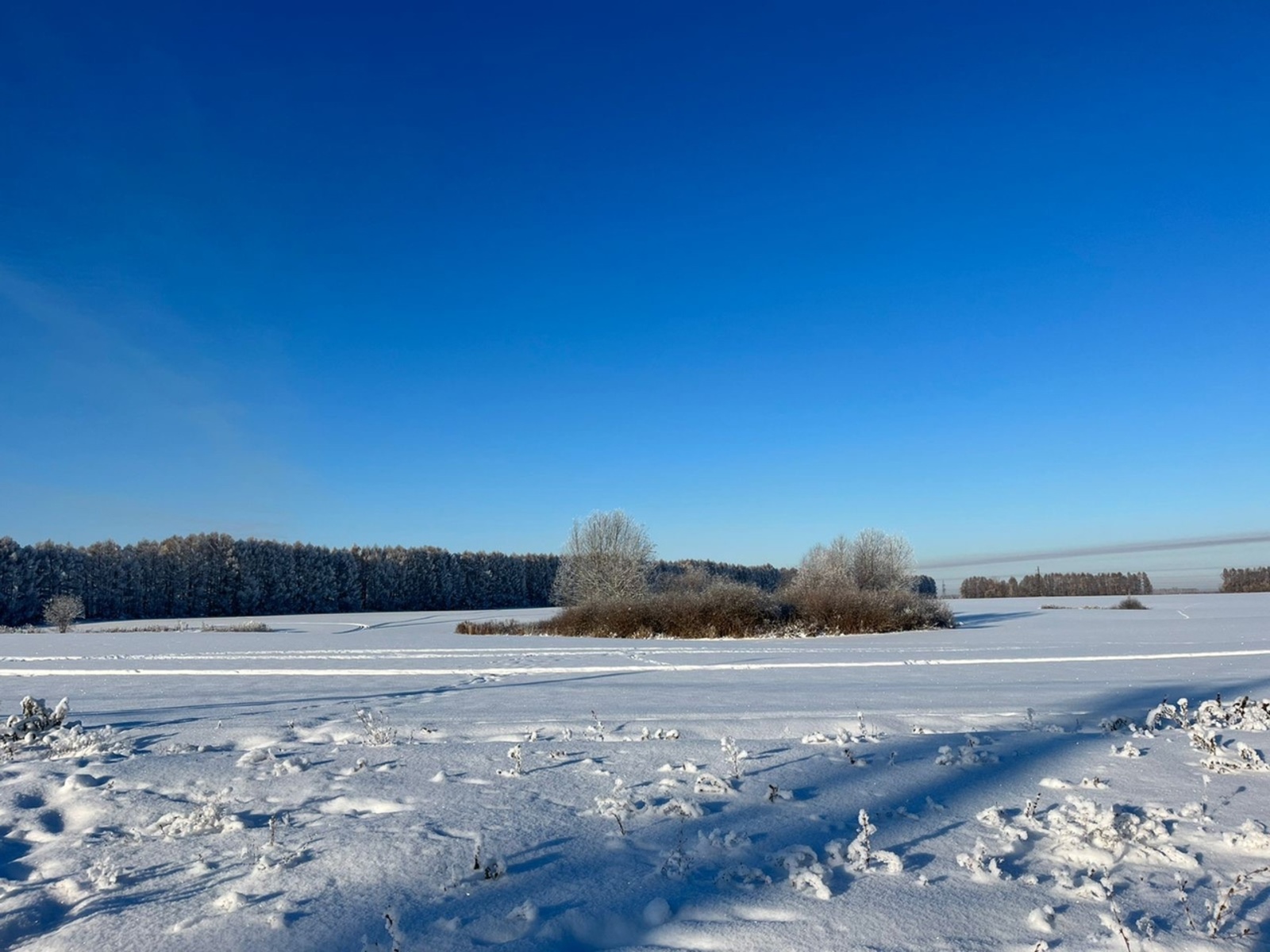 Көчле суыкларны ничек җиңел үткәрергә?