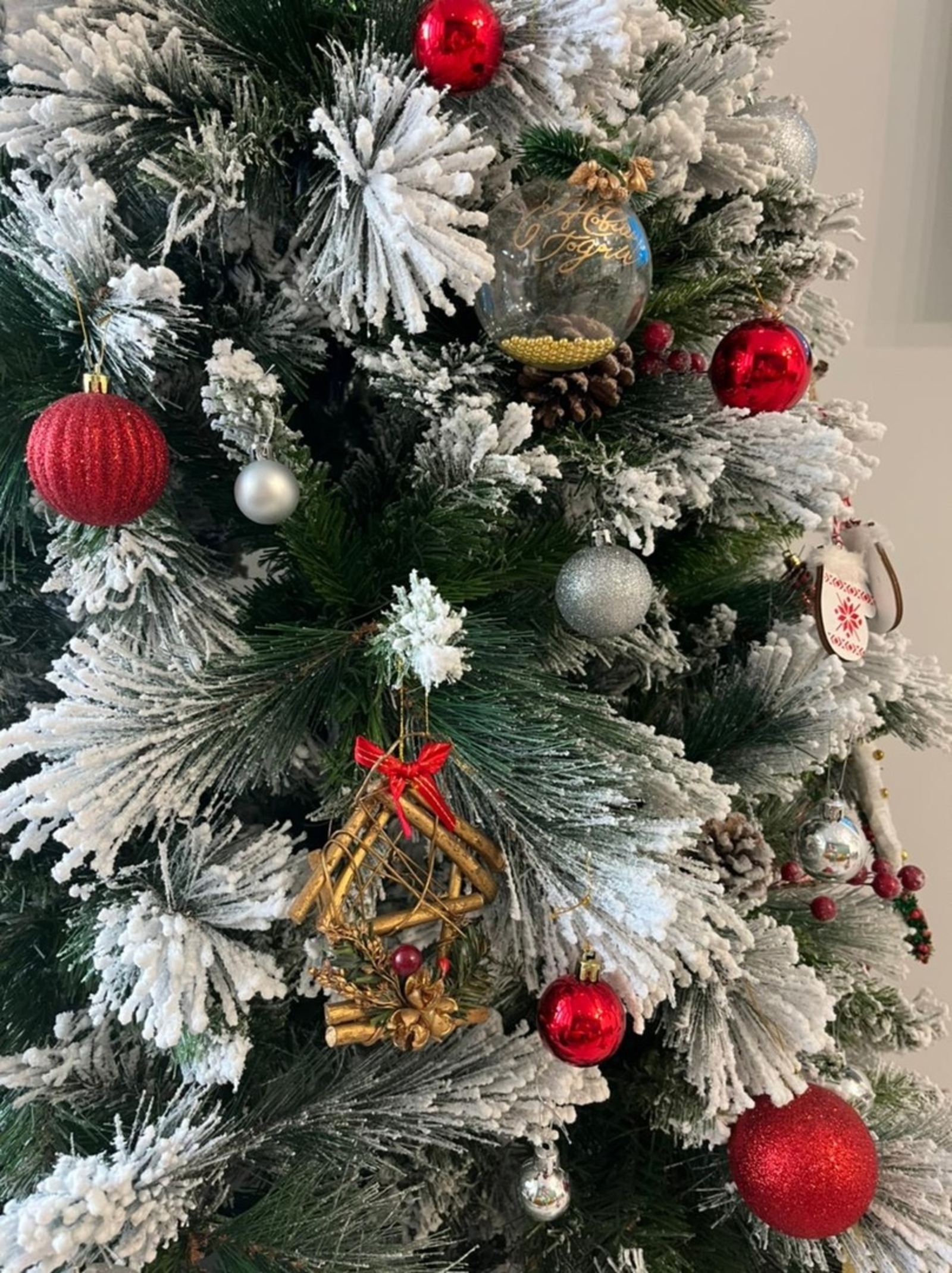 Алар — эшчән, тырыш һәм җитез!