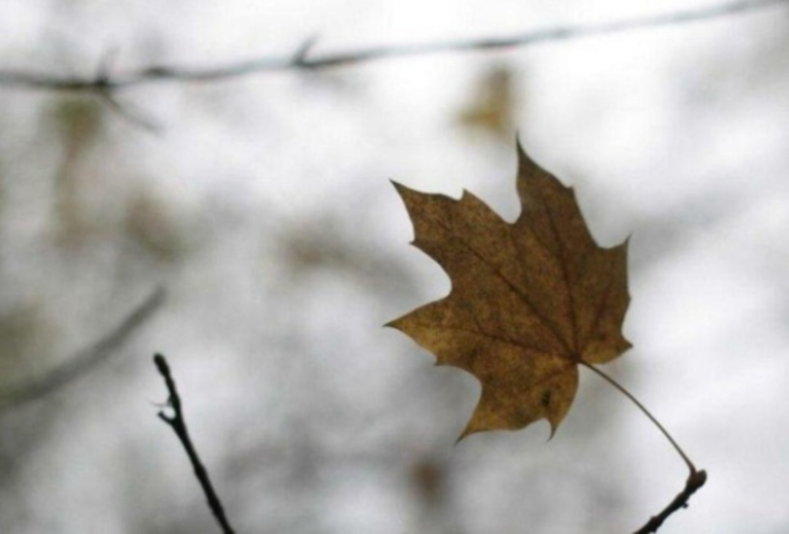 "Әтигә вакытында хатын табып бирәсе иде..."