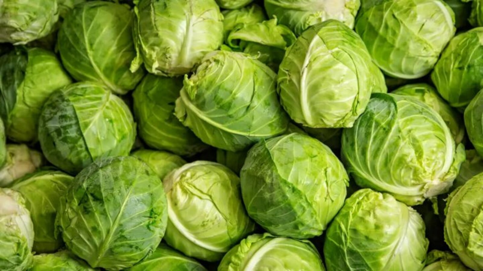 Кәбестәдән ни әзерлибез?