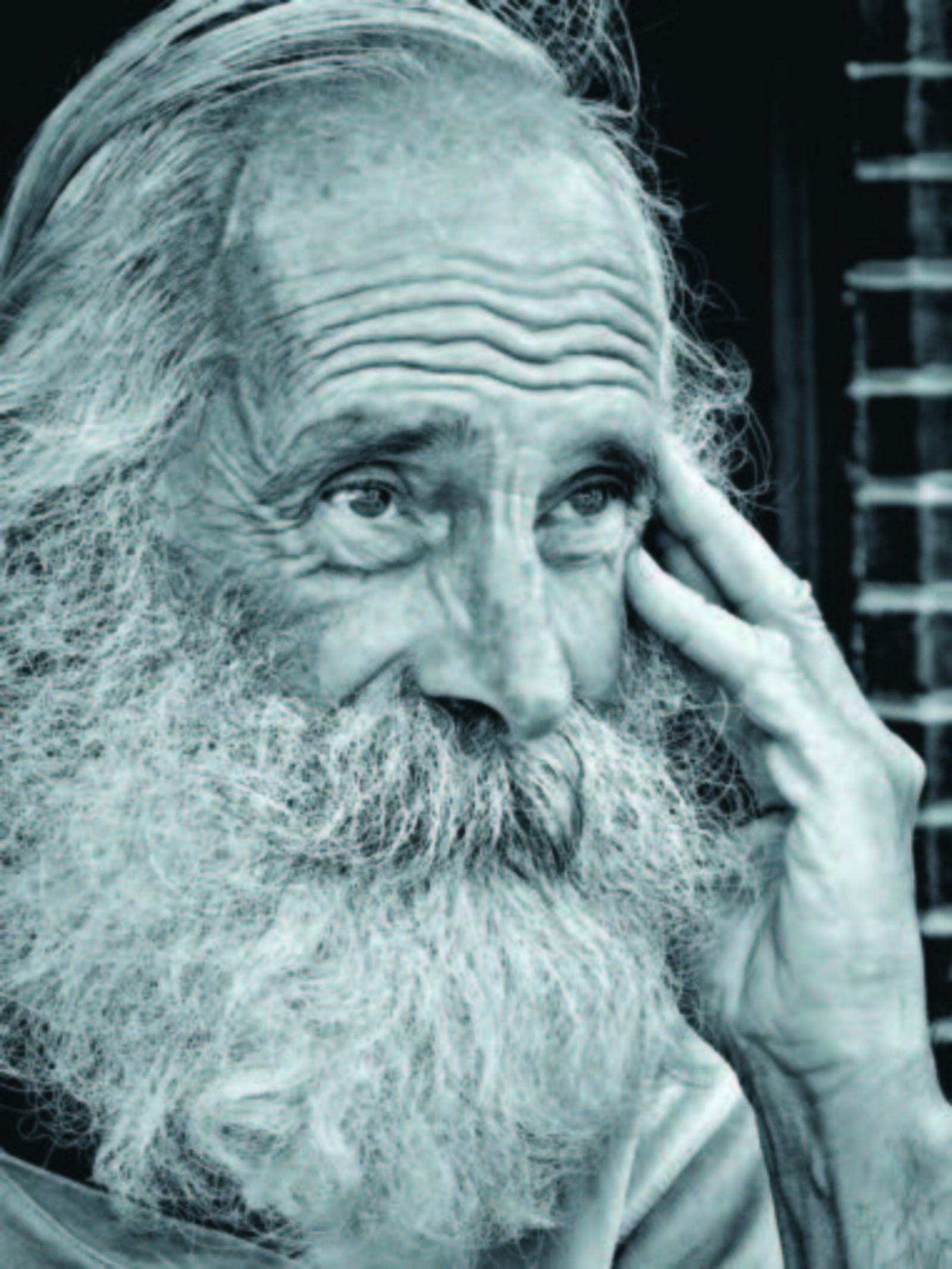 Чүкеч тавышы коткарды