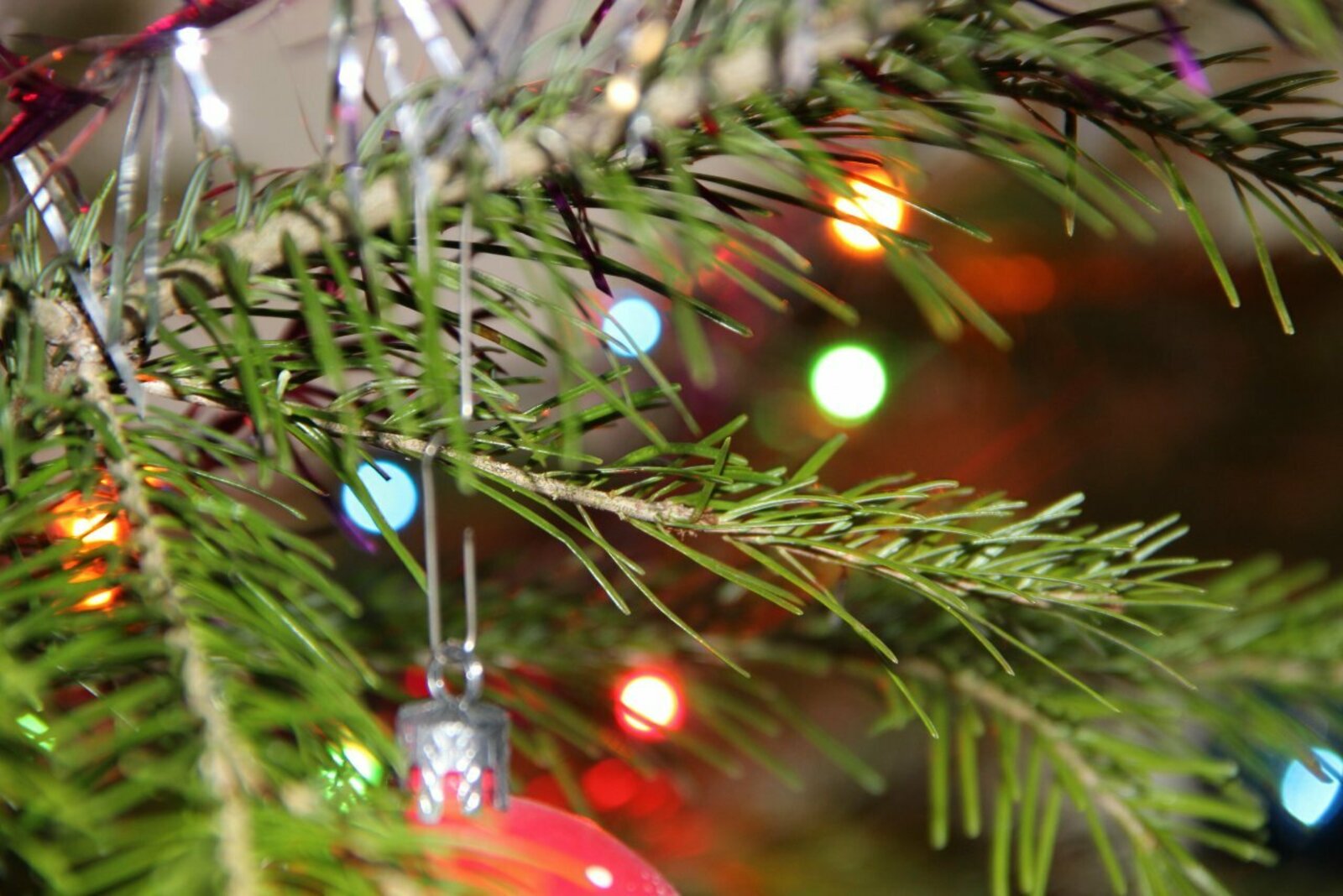 "Өй хуҗасын барып алдым"