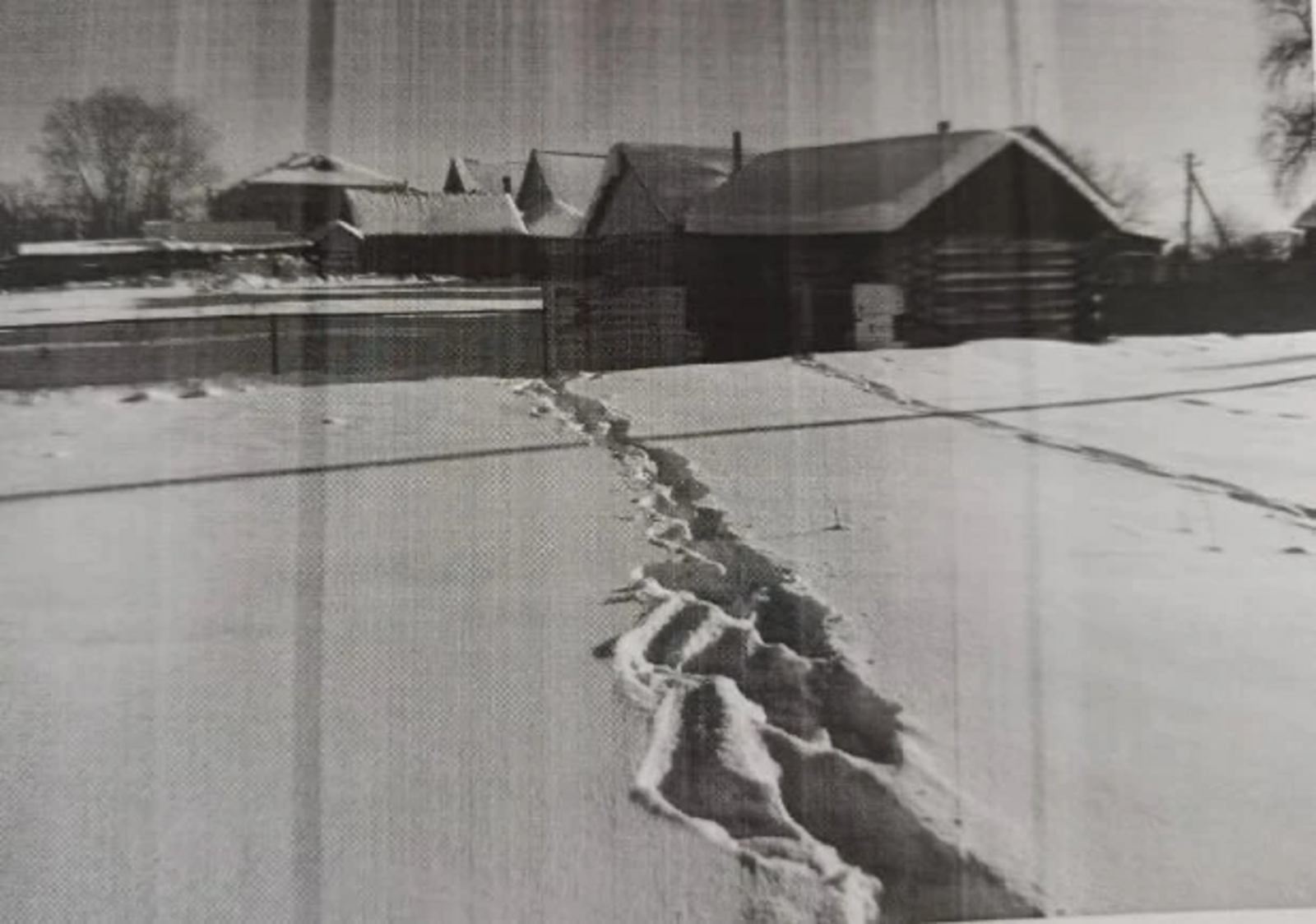 20 килограмм ит урлаган...