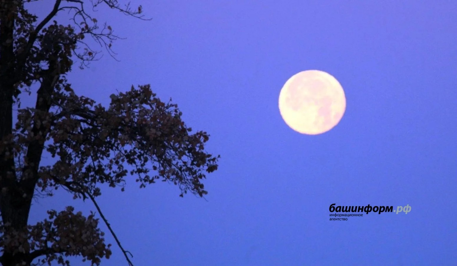 Бүген елның иң озын төне булачак