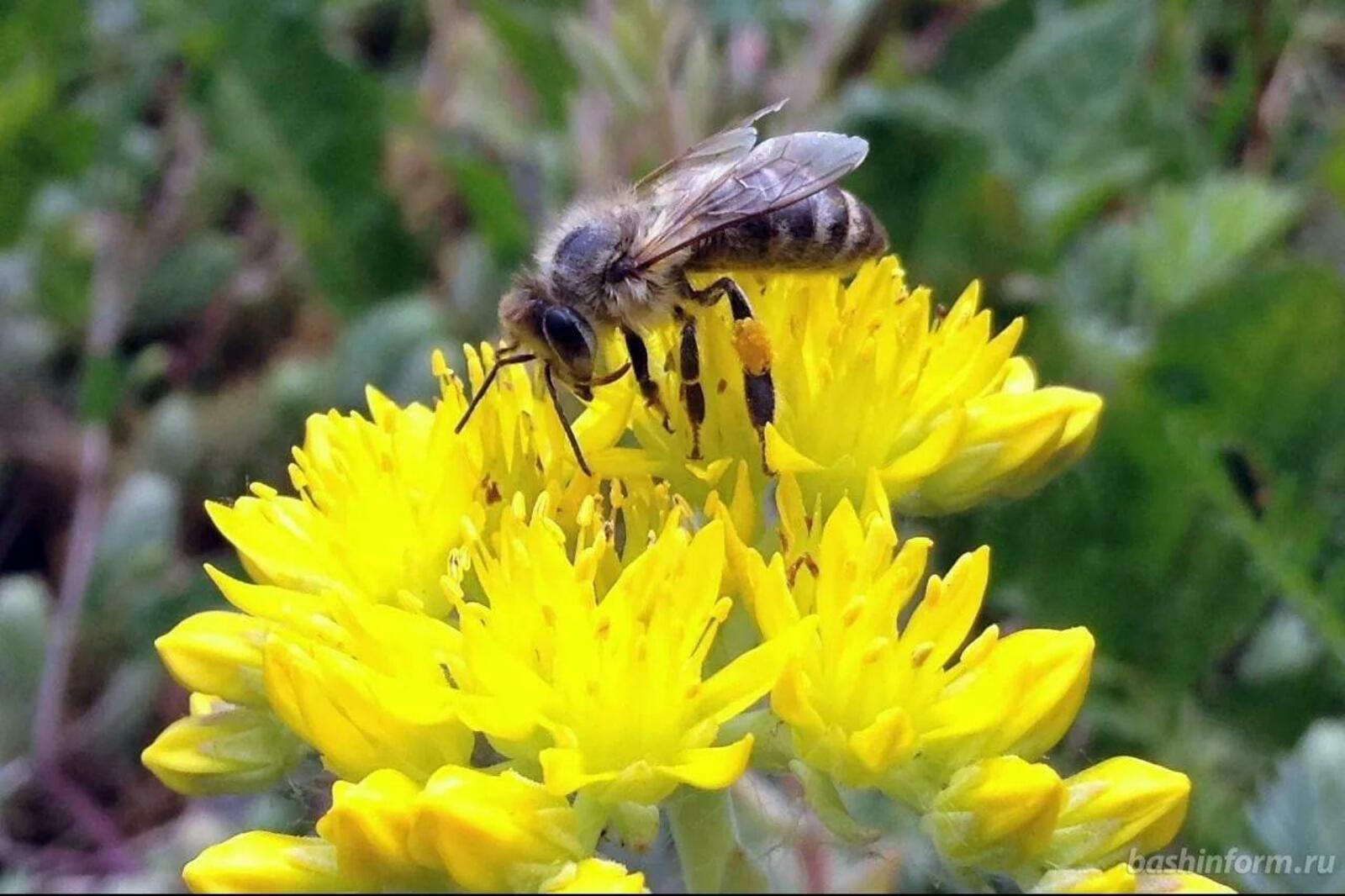 "Ташлап чыгып китәргә курыкмагыз, кызлар!"