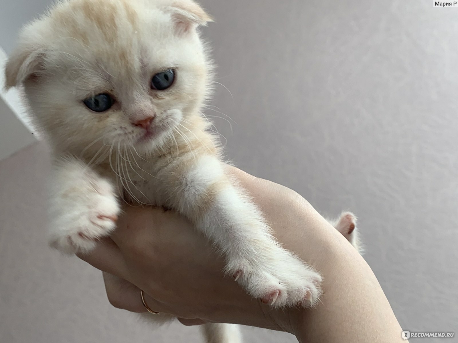 Юлъякшиннар гаиләсе ишәйгән