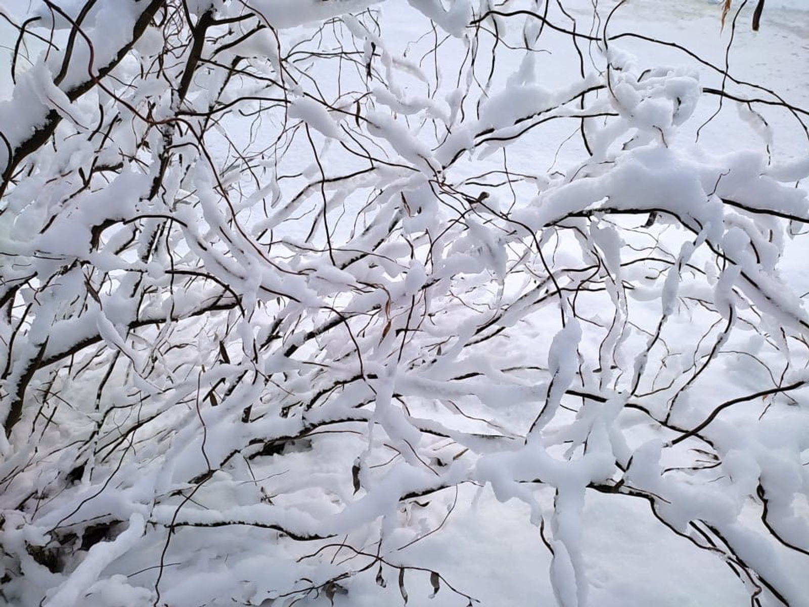 Иң зур байлыгыгызны саклагыз!