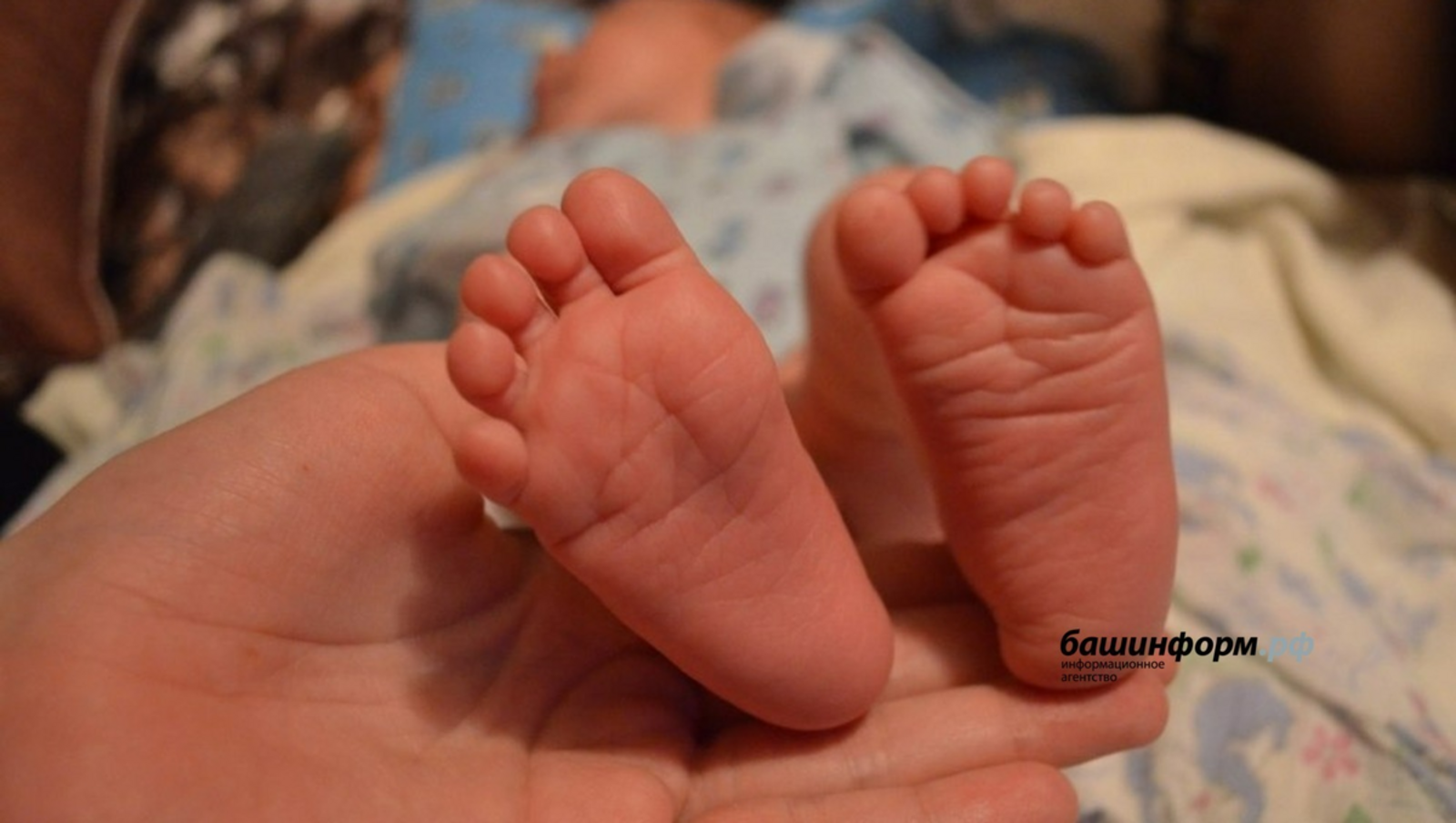 "Картәни буласым килми!"