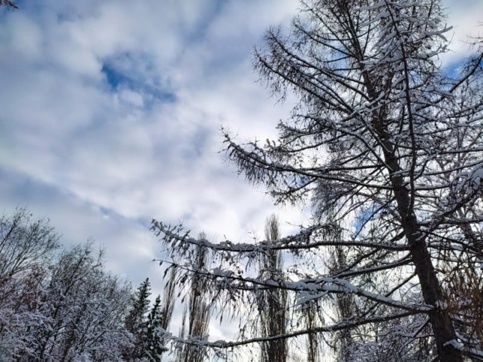 Иртәгә караңгыда мунча кермәгез...