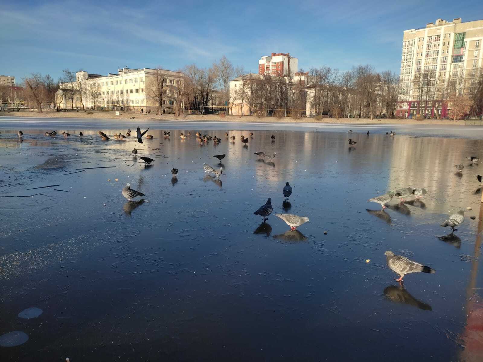 Безне тылсымлы көн көтә!