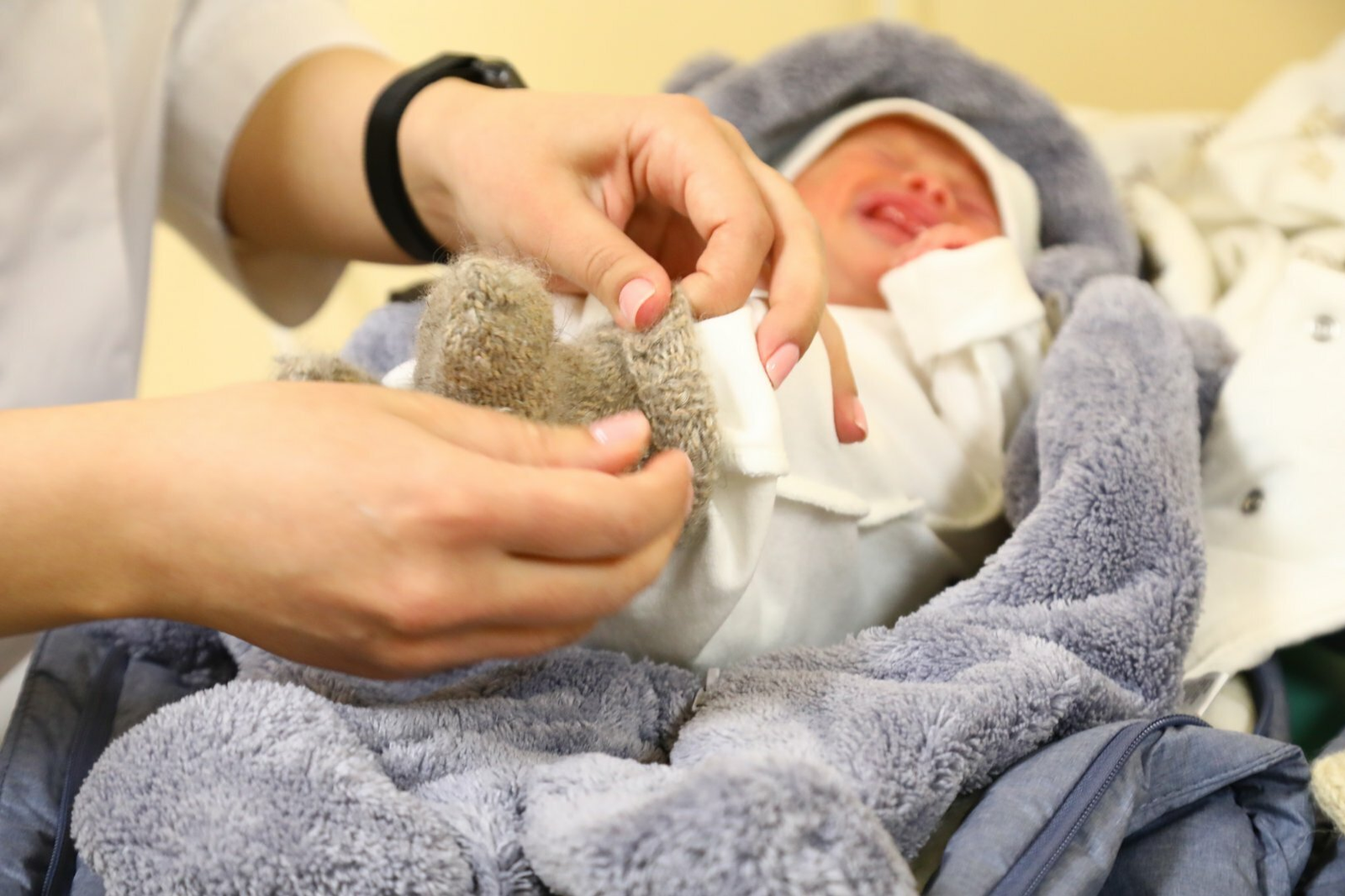 Благовещенда Добрыня Никитич туган