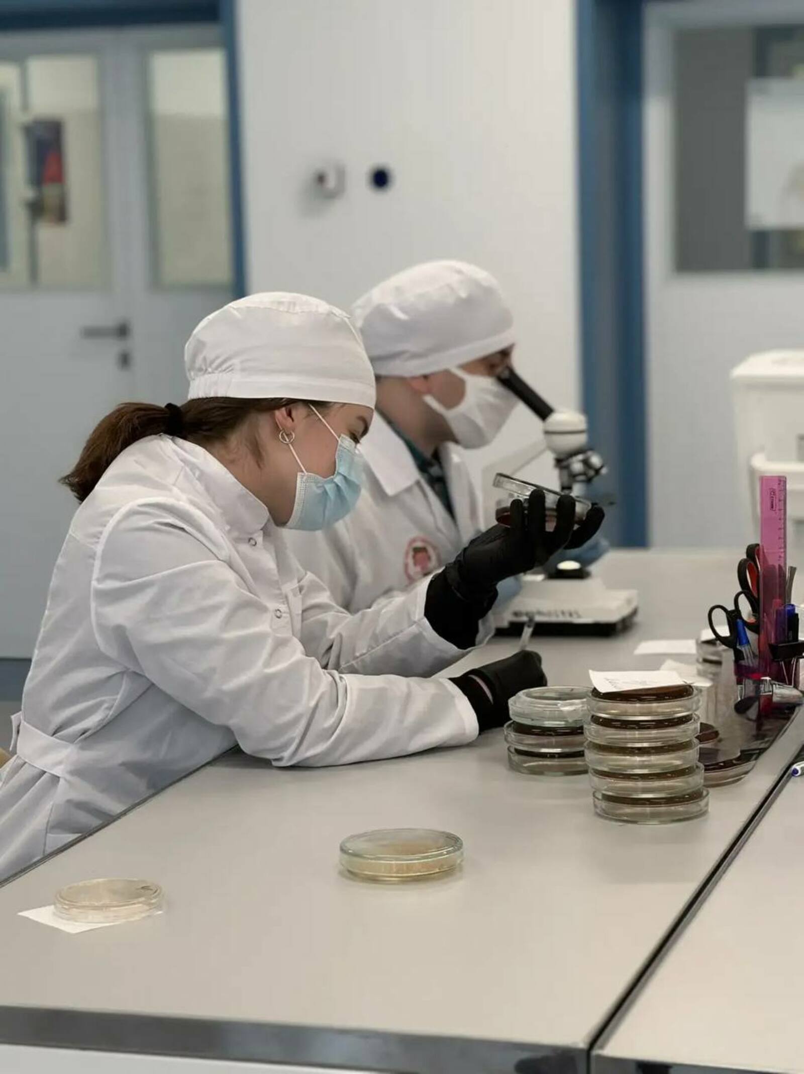 Вузара кампуста уникаль тест-система эшләнде