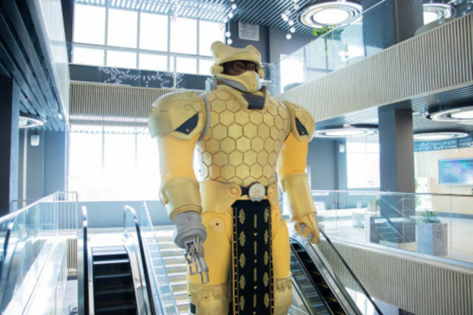 Умартачы аю - Уфаның вузара кампусы бизәге