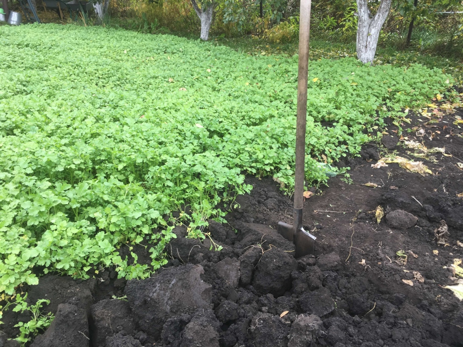 Кар төшкәнче чарасын күрегез!