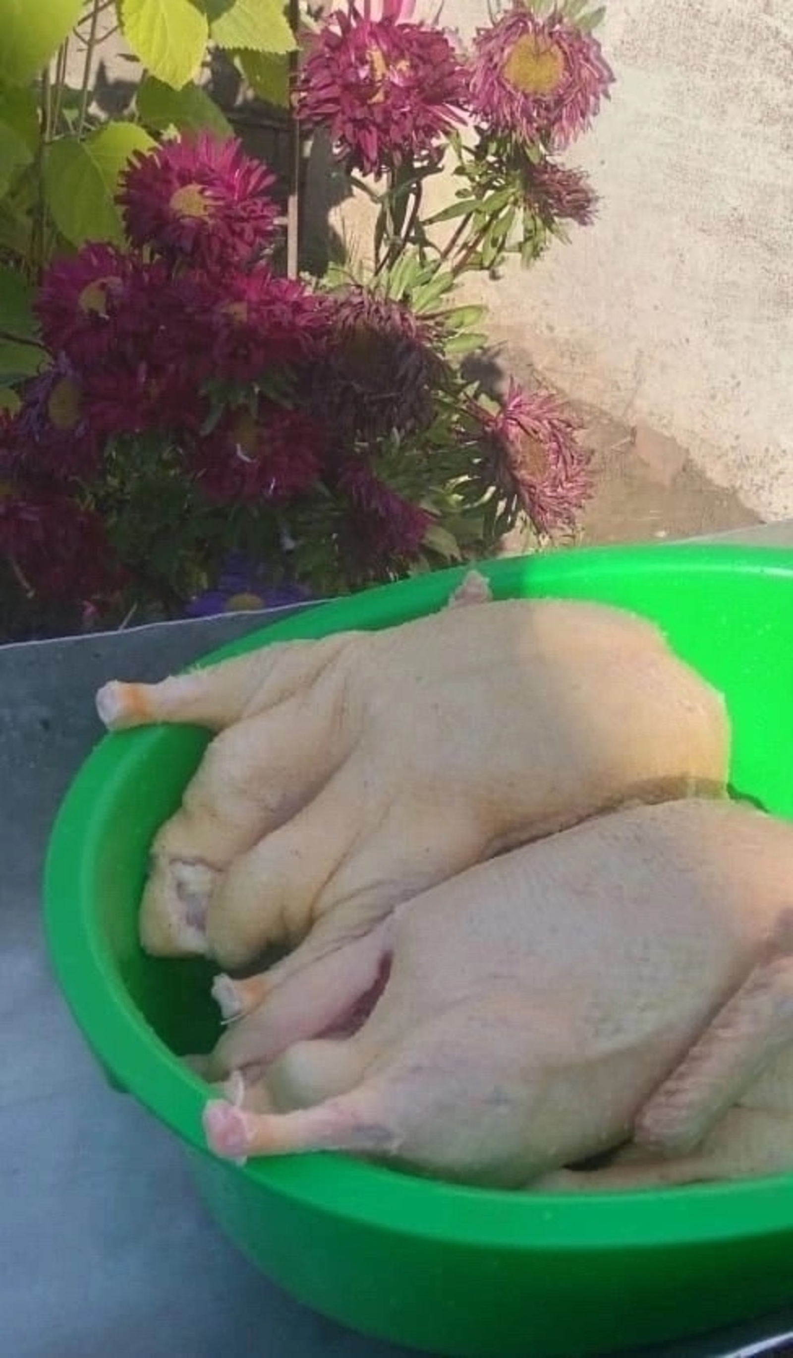 Үрдәк чистарту буенча лайфхак