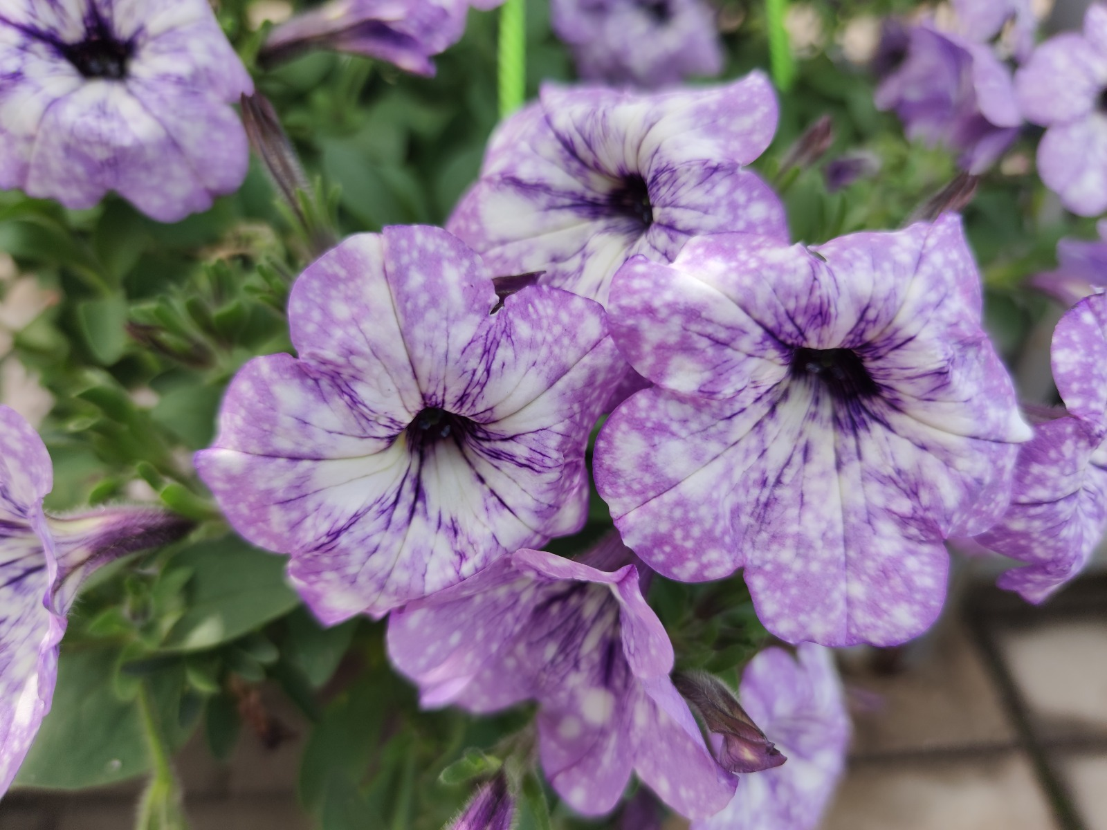 +19 градуска кадәр җылытачак...