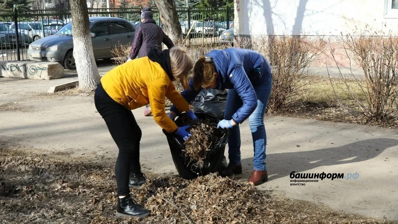 Өмәләр кайчан башлана?