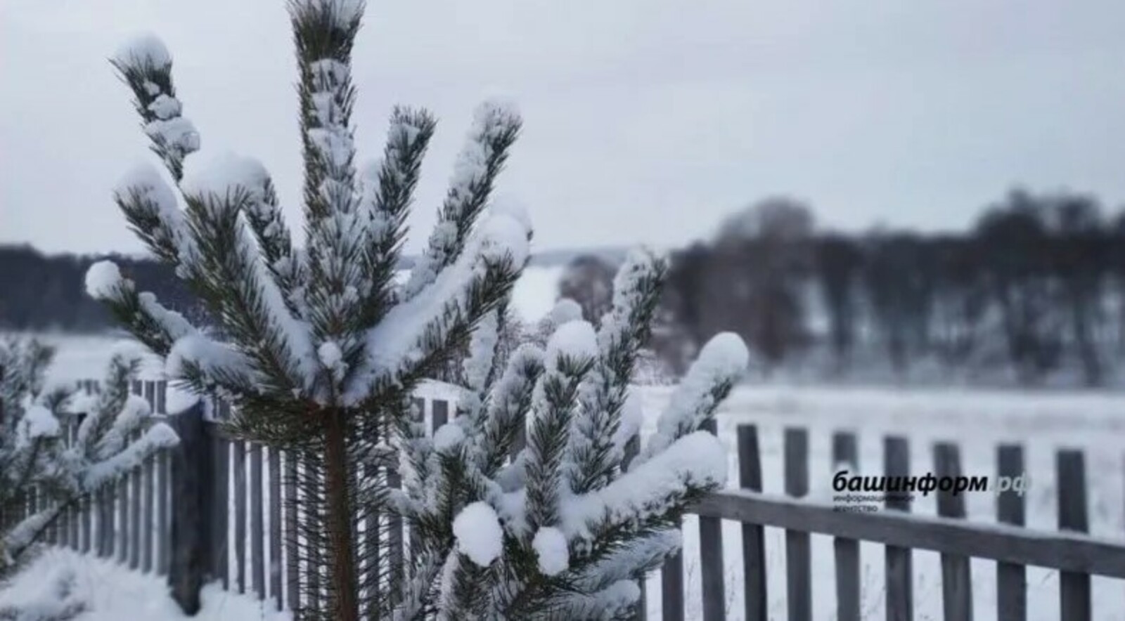 "Баш әйләнүдән шулай котылдым"