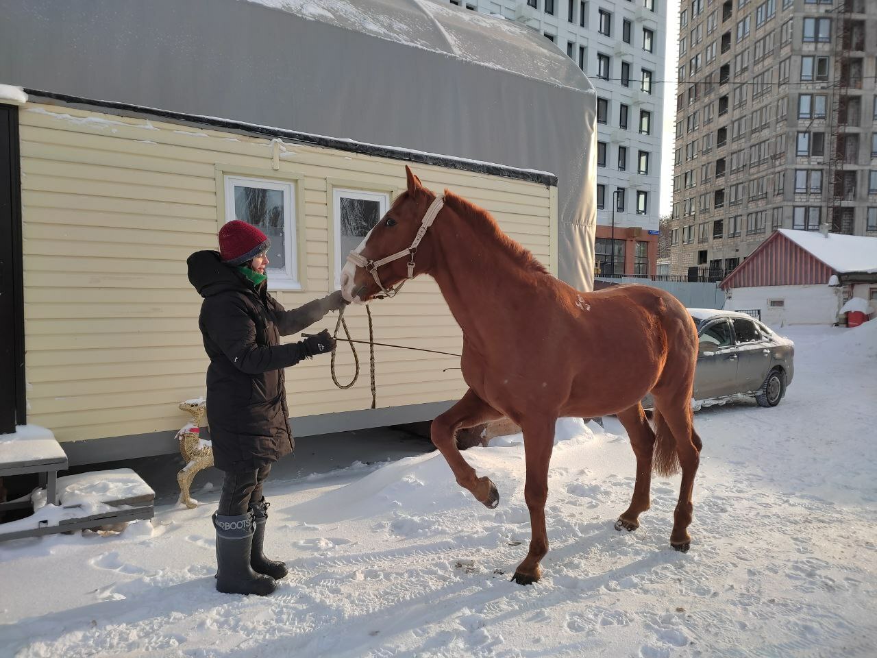 “Кешенең якын дусты ул!”
