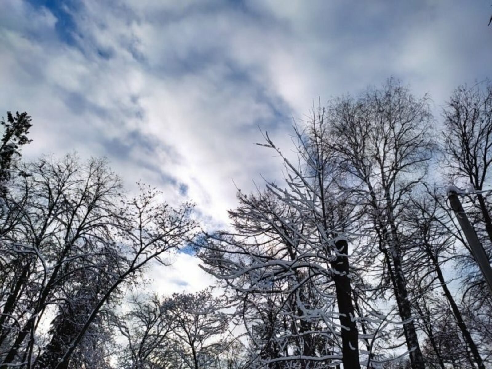 Ир-егетләребез сәламәт булсын!