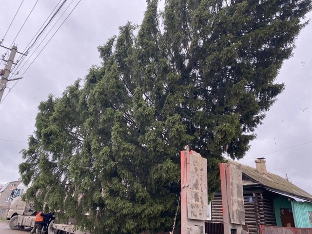 Уфада беренче Яңа ел чыршысы куелган