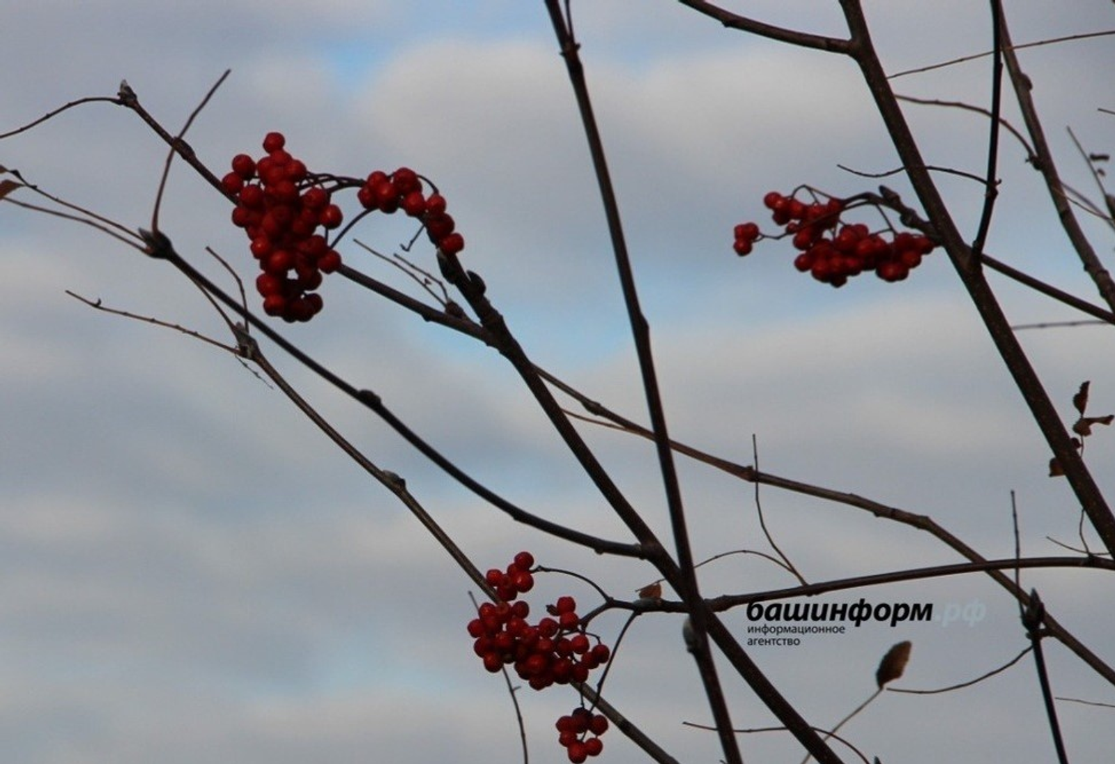 "Балалар, мине аңлагыз!"