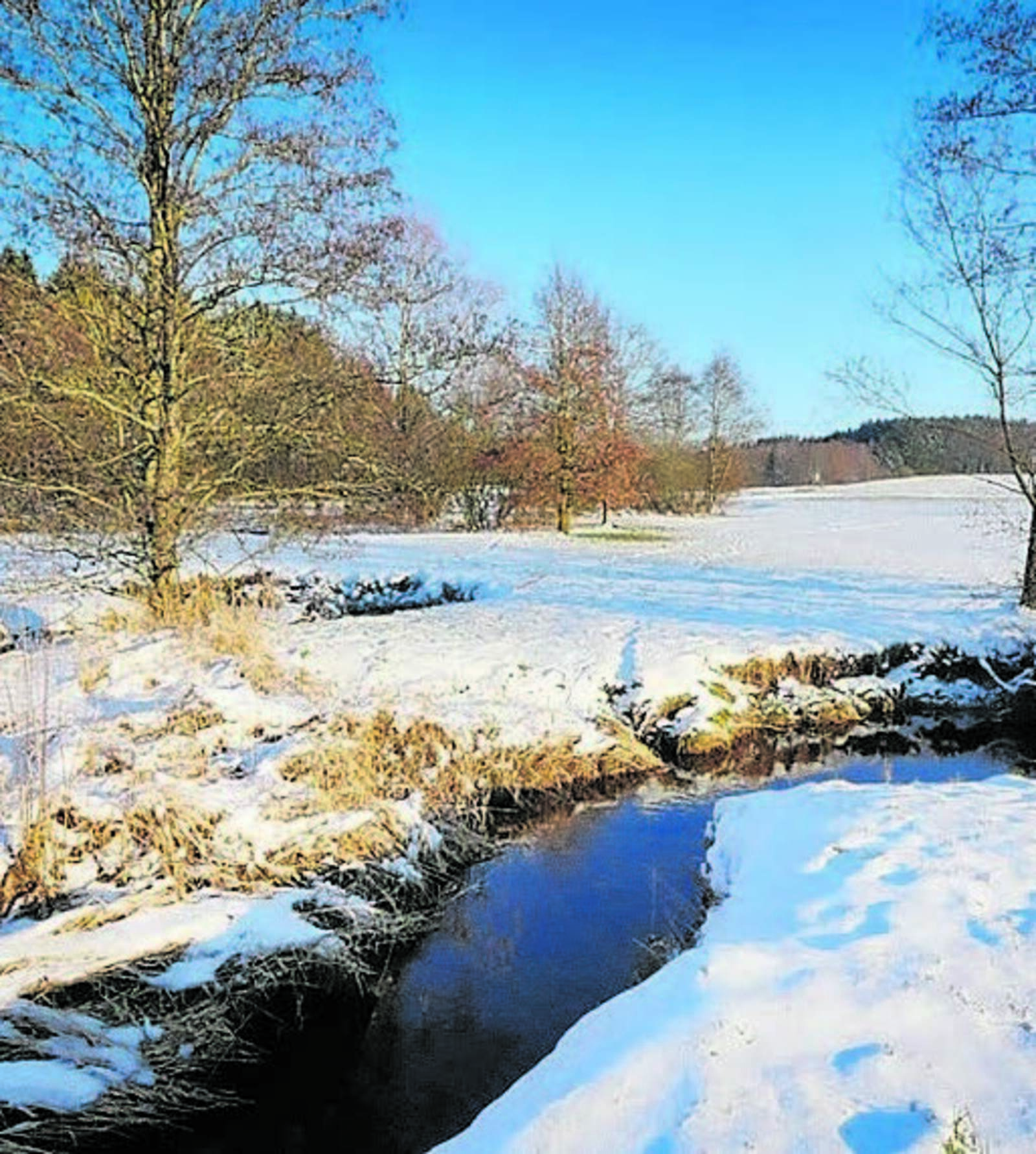 Табигать уянганда