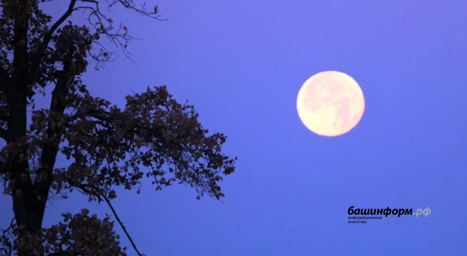 "Сез дә төшегездә мәрхүмнәрне күрәсезме?"