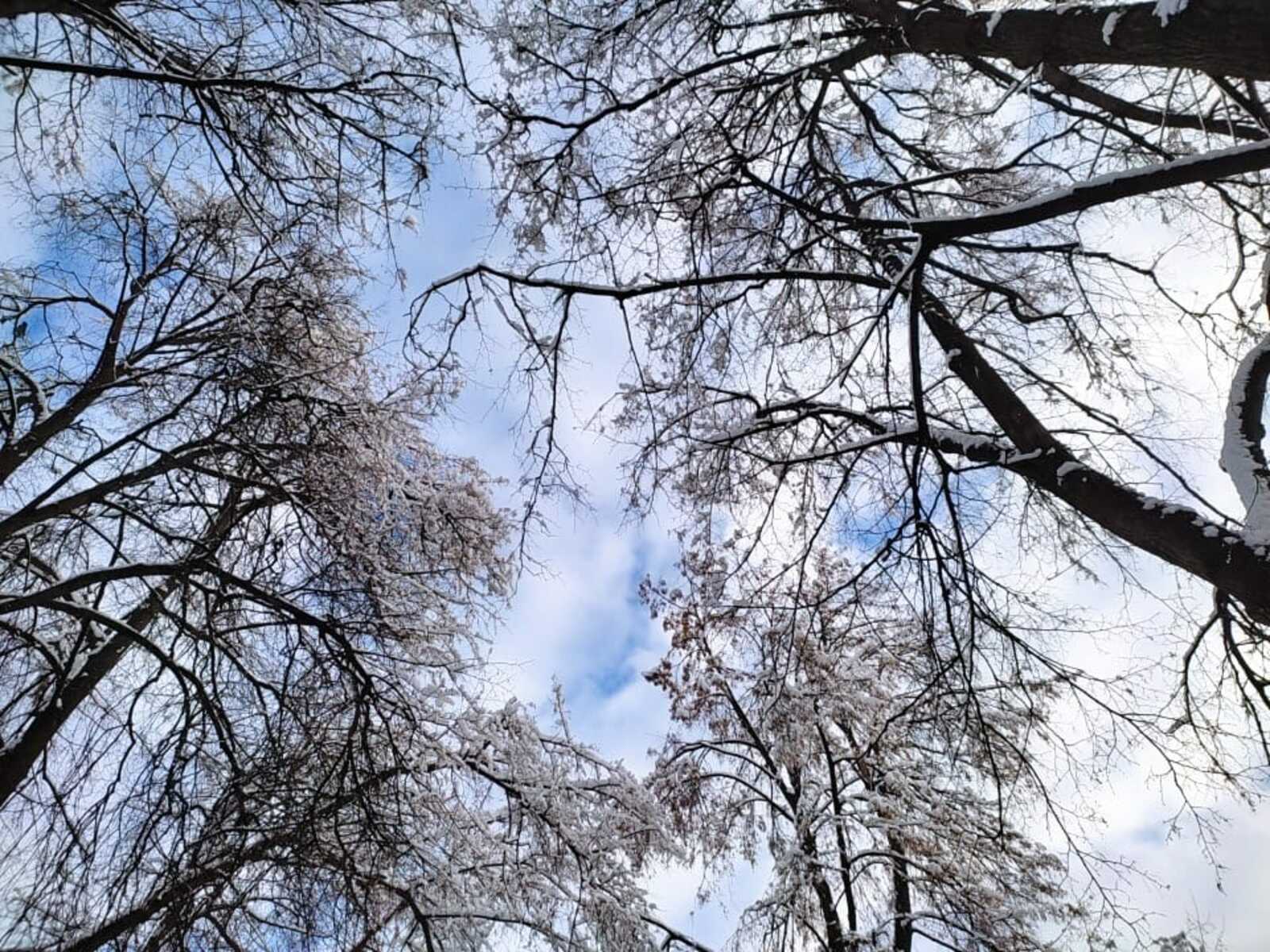 Февральдә сөю дулкыны килә!