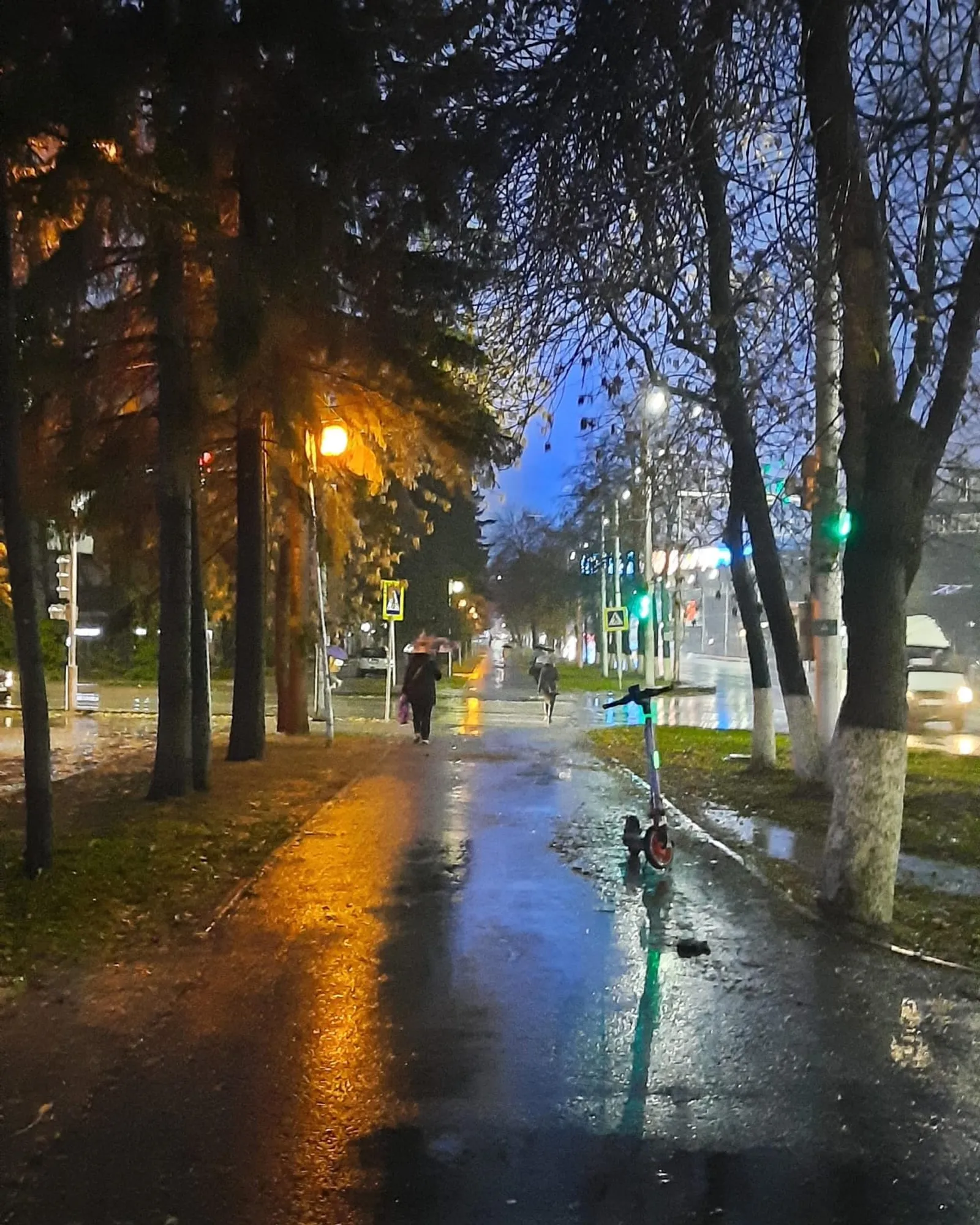 Чегән карчыгының каргышы