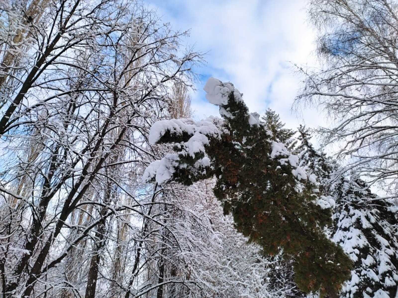 Кемдер сезне сагынамы, яратамы...