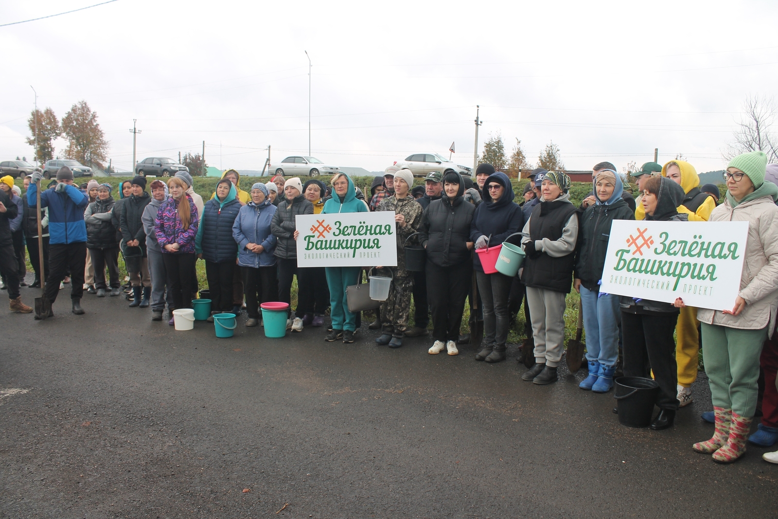 Агач үсентеләре утыртылды