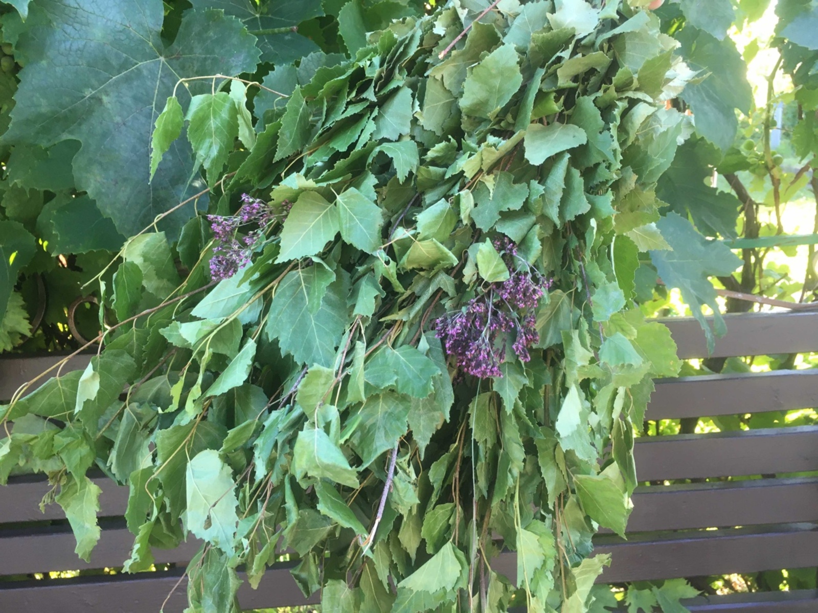 Мунчада белеп чабын!