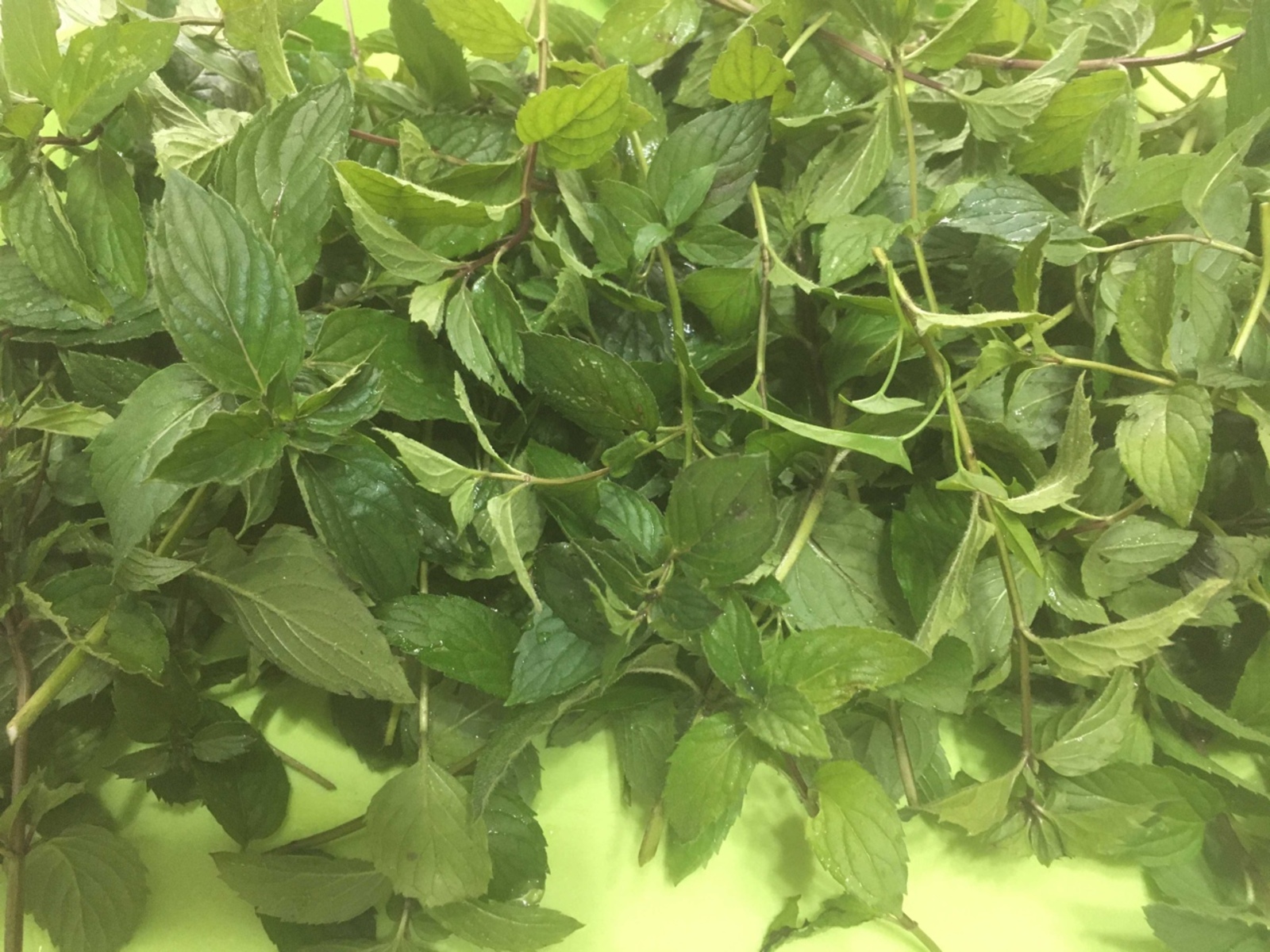 Каты ютәлне дә баса...