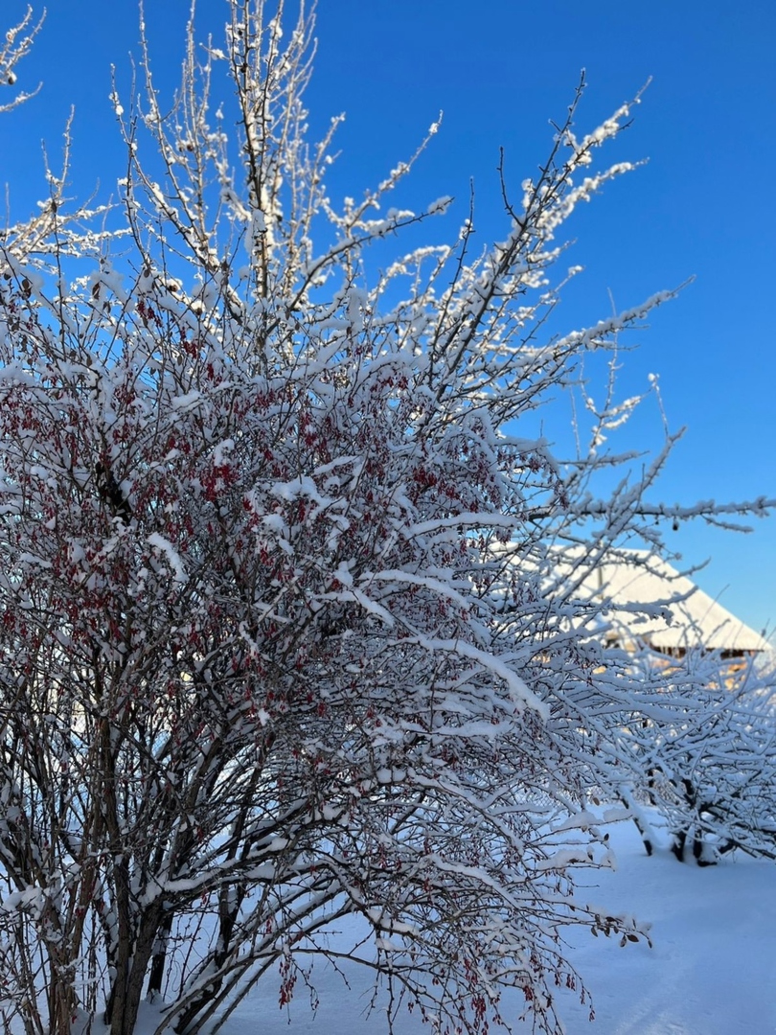 Зәмһәрир салкыннарга әзер торыгыз!