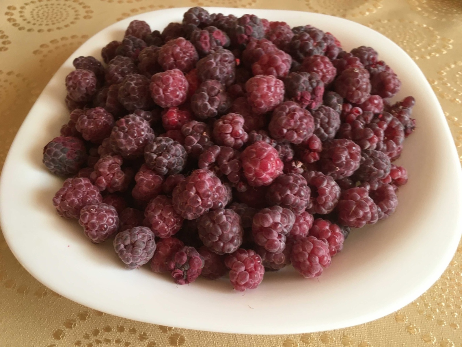 Варикоз борчыса, кура җиләге ашагыз!