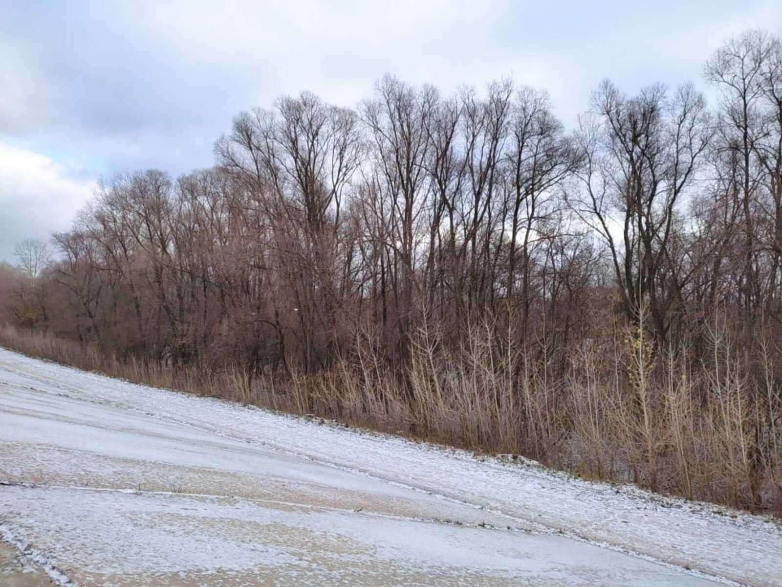 4 февраль сынамышлары ни вәгъдә итә?