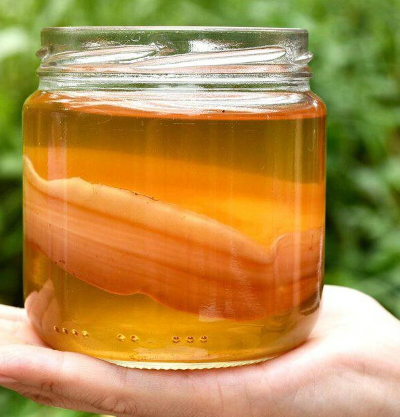 Чәй гөмбәсе бик күп авыруларны дәвалый