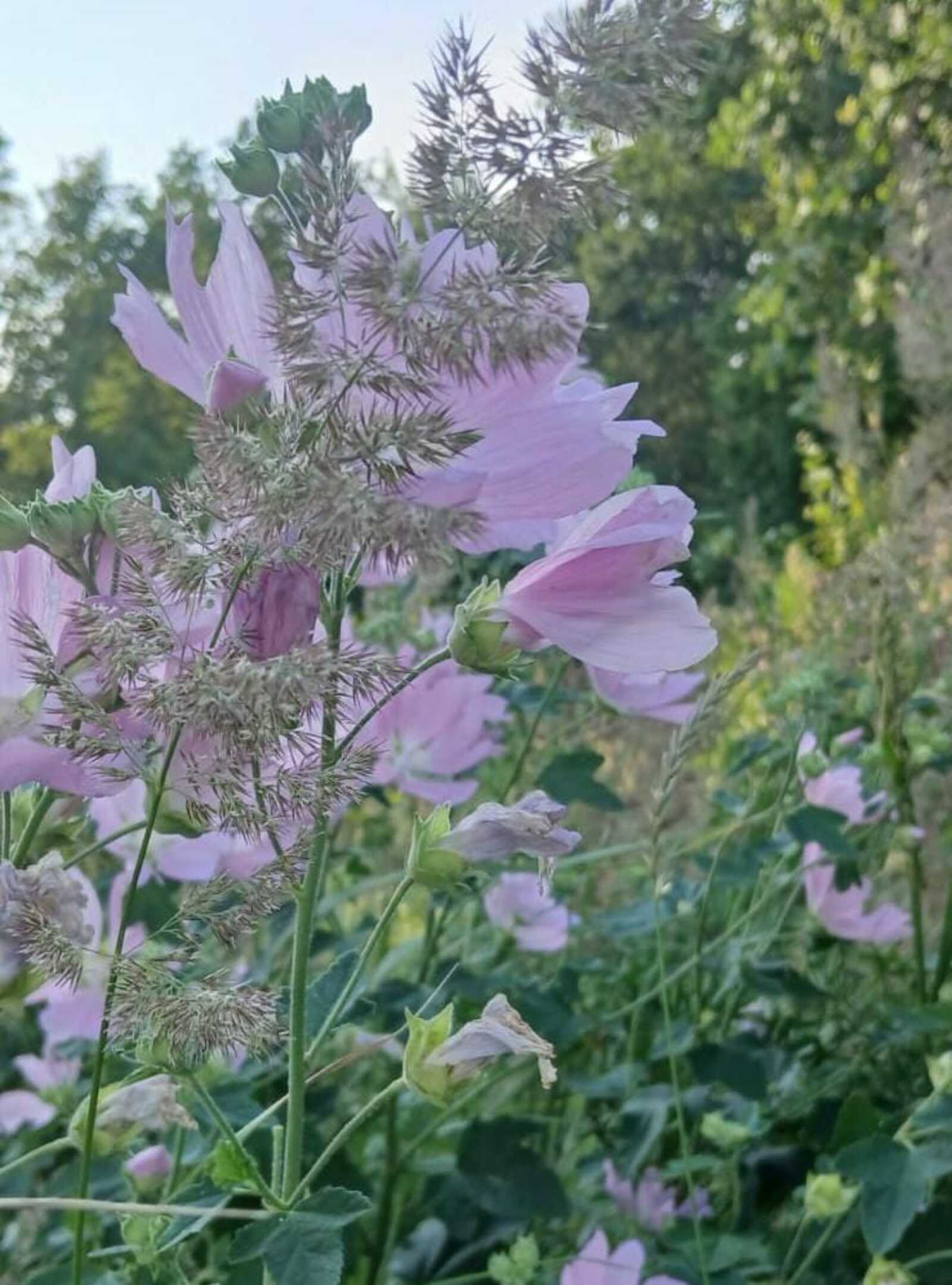 Журналистикада кем күбрәк эшли?