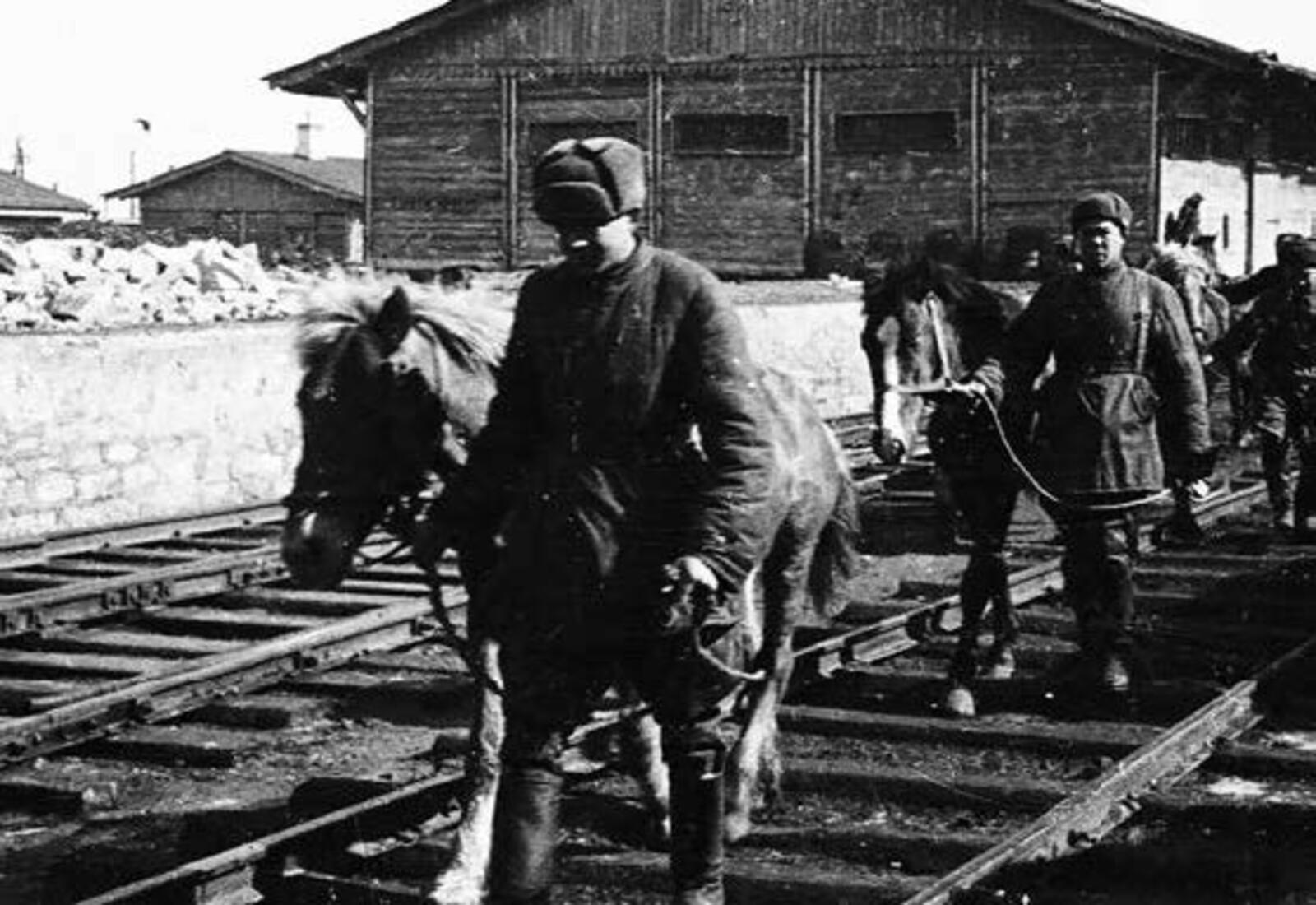 Тарихны саклаучылар