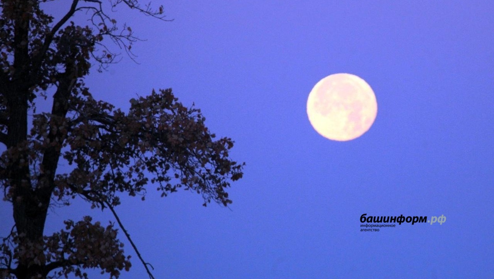 "Төнлә ишек ачмагыз!"