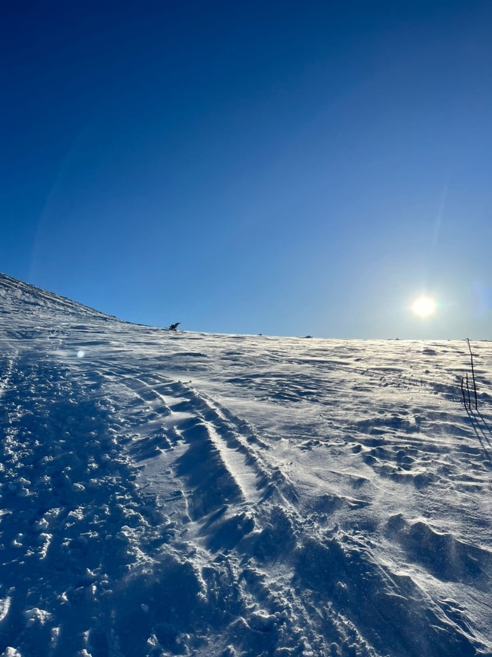 Бик ышанып бармагыз!