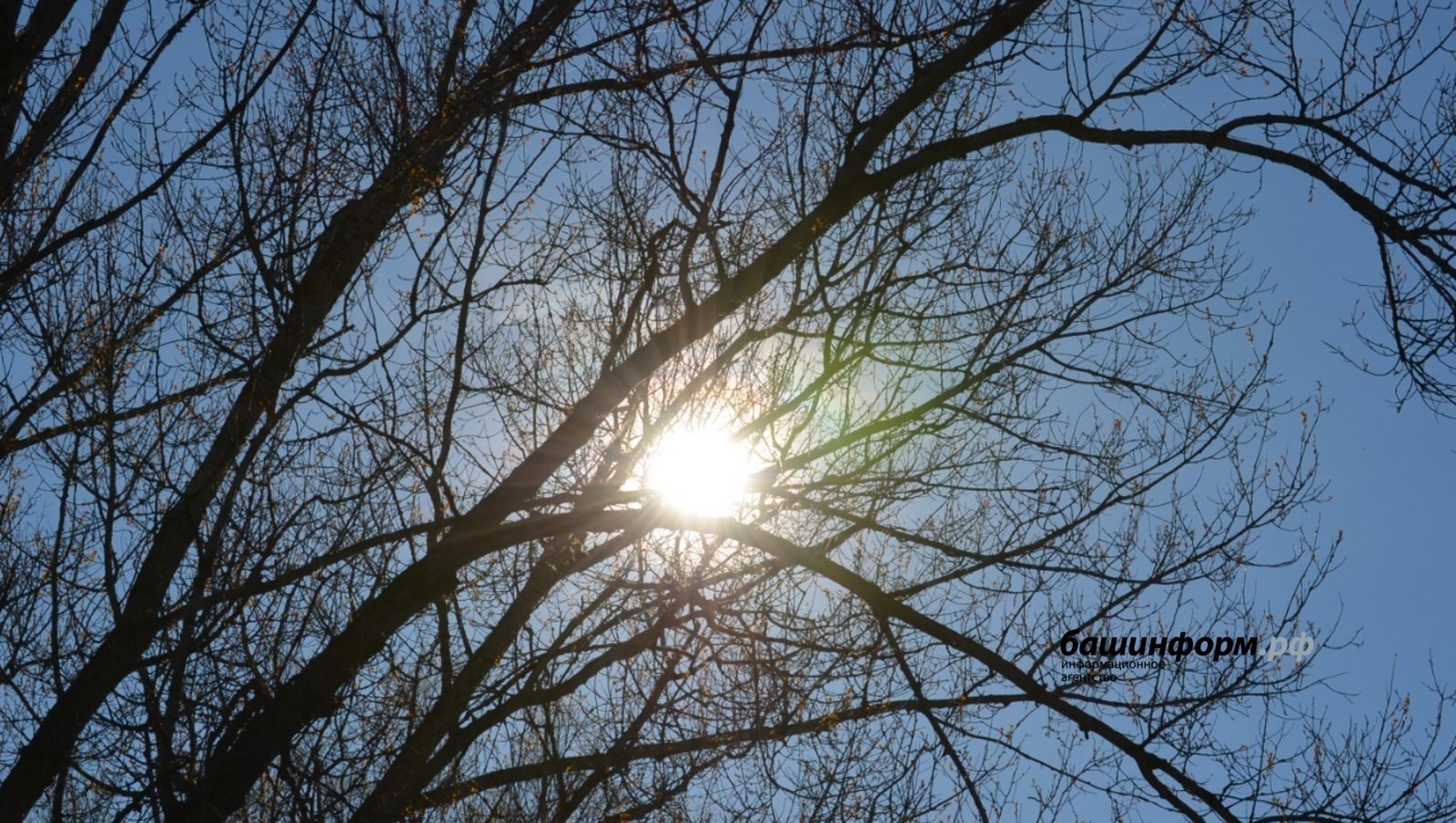 "Ярый ирем аерым яшәргә тәкъдим иткән әле!"