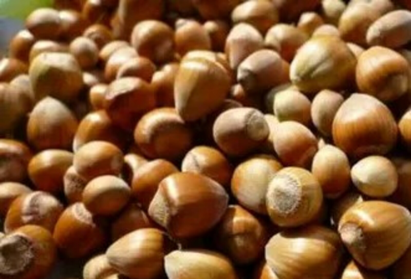 Чикләвекне дөрес ашыйсызмы?