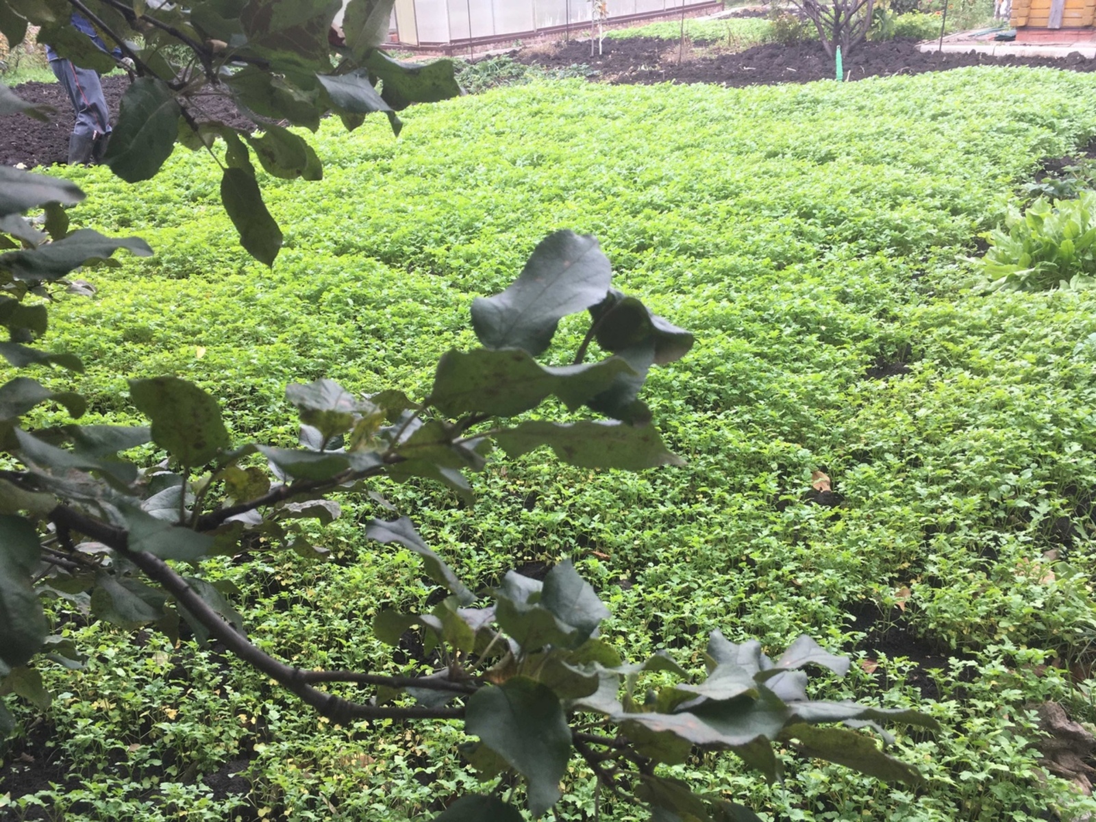 Көзге түтәл буш калмасын