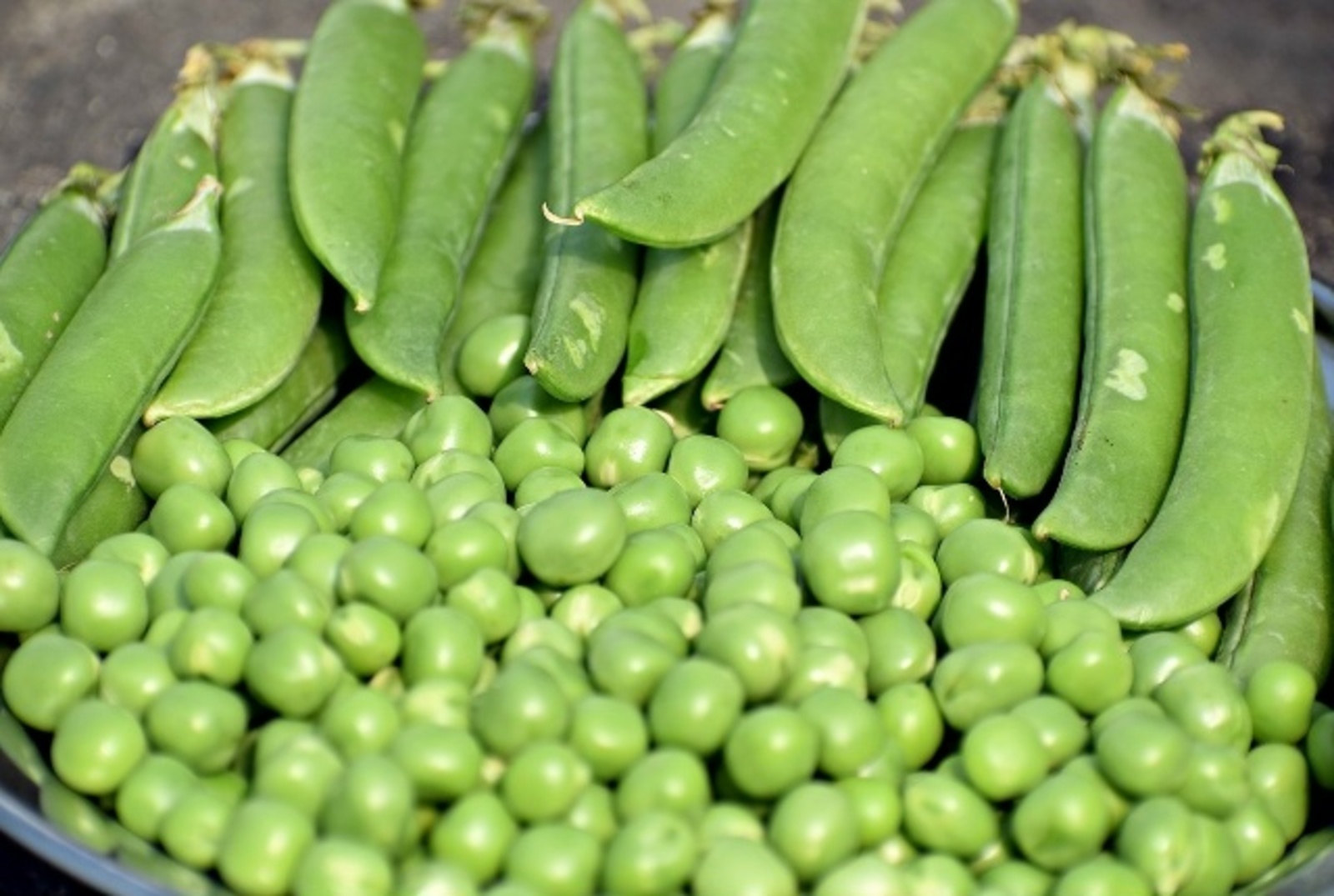 Борчак итне дә алыштыра!