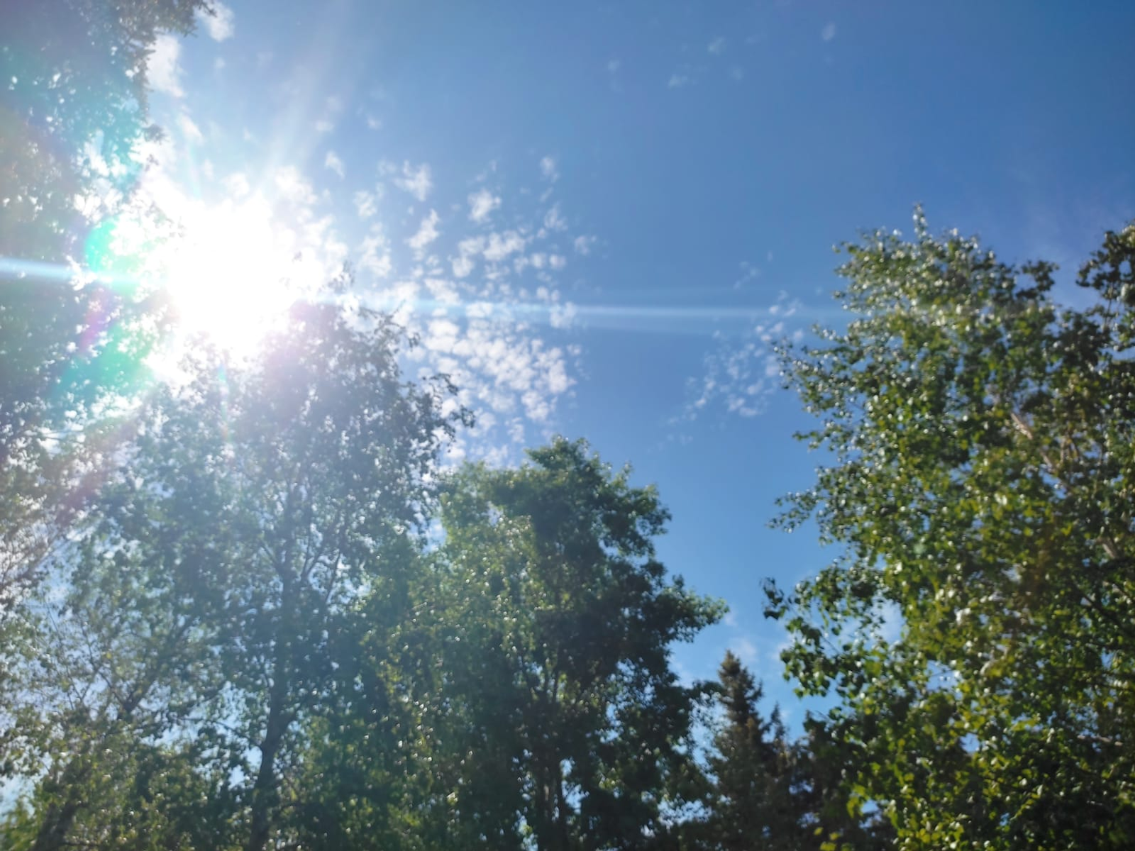 Вакциналау — медицинаның иң зур казанышларыннан берсе