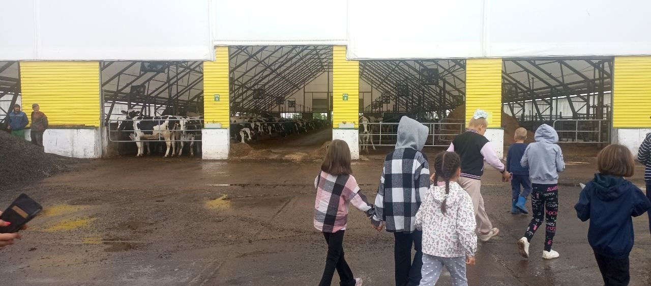 Җиргә сөюне кечкенәдән тәрбиялик