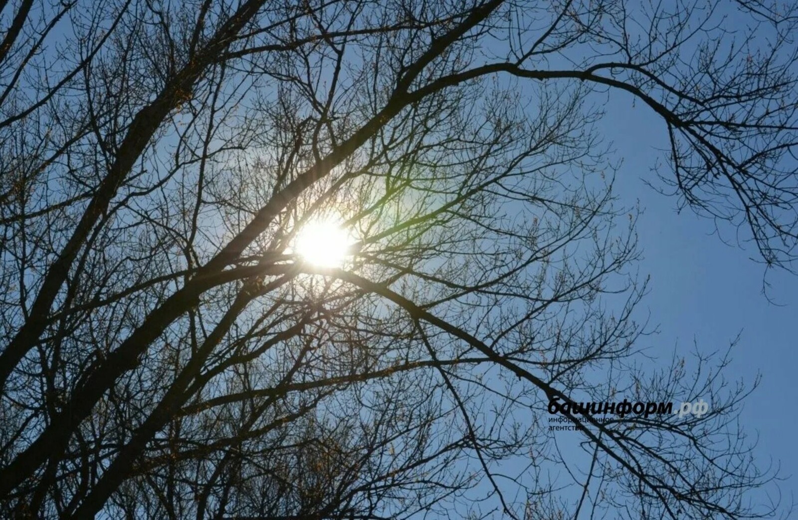 Организмны чистарту өчен гади рецепт!